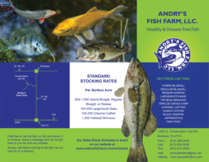 Flyer Design by falcon.wings for this project | Design: #13656708