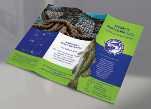 Flyer Design by falcon.wings for this project | Design: #13701901