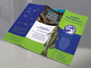 Flyer Design by falcon.wings for this project | Design: #13701902