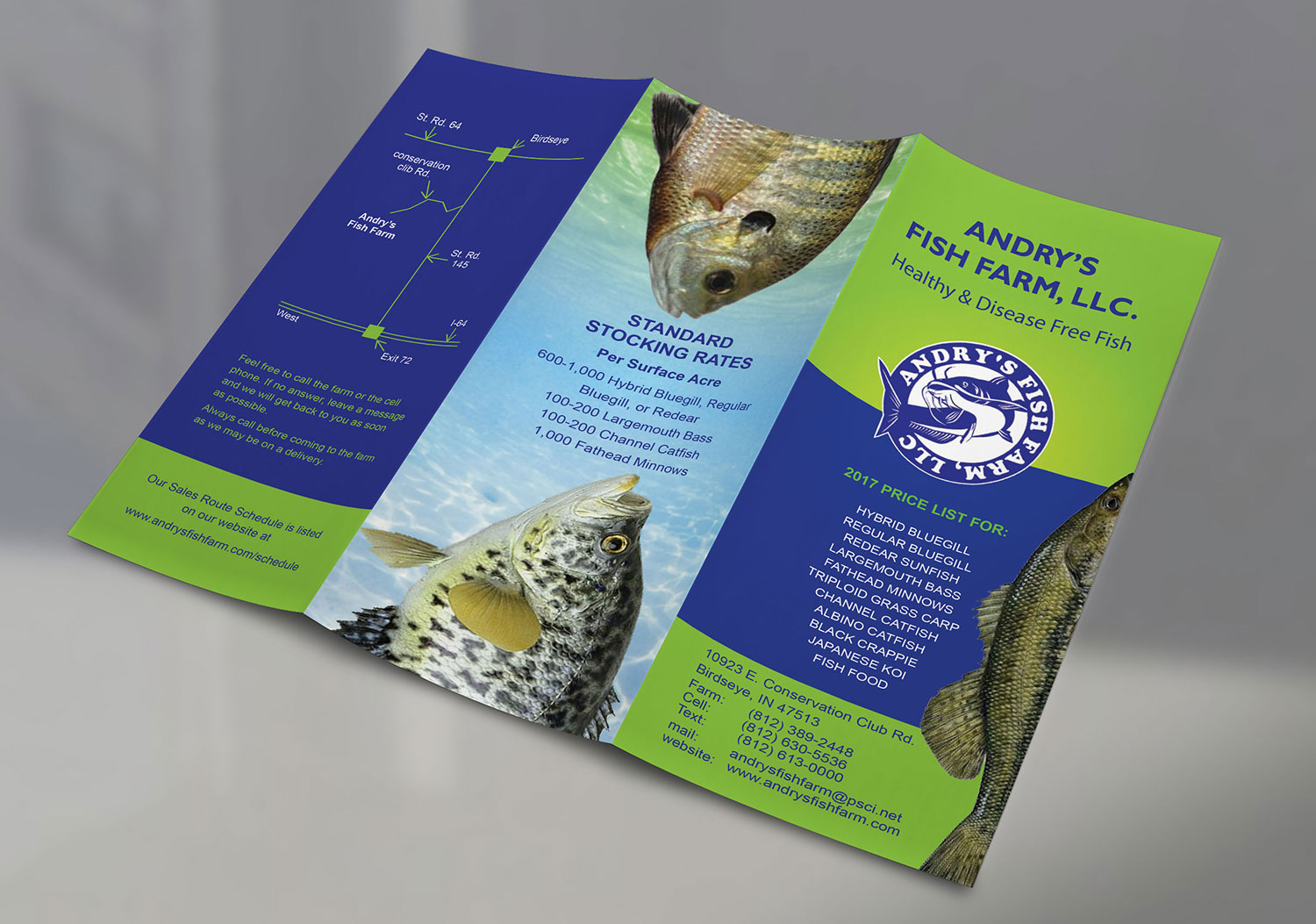 Flyer-Design von falcon.wings für dieses Projekt | Design #13701903