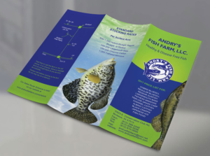Flyer Design by falcon.wings for this project | Design: #13701904