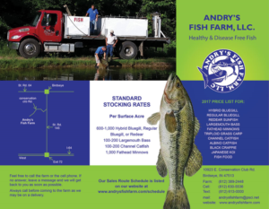 Flyer Design by falcon.wings for this project | Design: #13711490