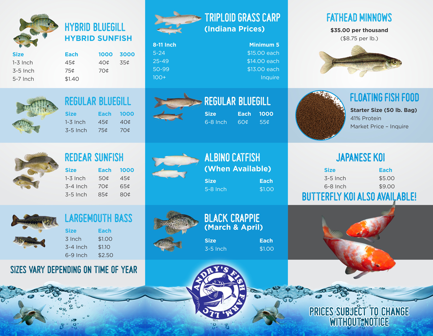 Flyer Design by Marketing Wings for this project | Design #13666008