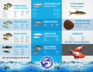 Flyer Design by Marketing Wings for this project | Design: #13666008