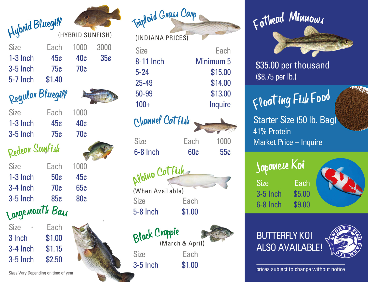 Diseño de Flyer por Marketing Wings para este proyecto | Diseño #13666010