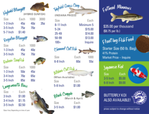 Flyer Design by Marketing Wings for this project | Design: #13666010