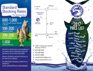 Flyer Design by Marketing Wings for this project | Design: #13666011