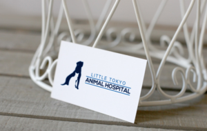 Logo Design by imismailhossainbd for this project | Design: #13632506