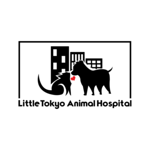 Logo Design by Razdchamp