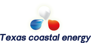 Logo Design by Bluetopo for this project | Design: #539207