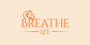 Logo-Design von debdesign für Amudala Inc | Design: #13639343