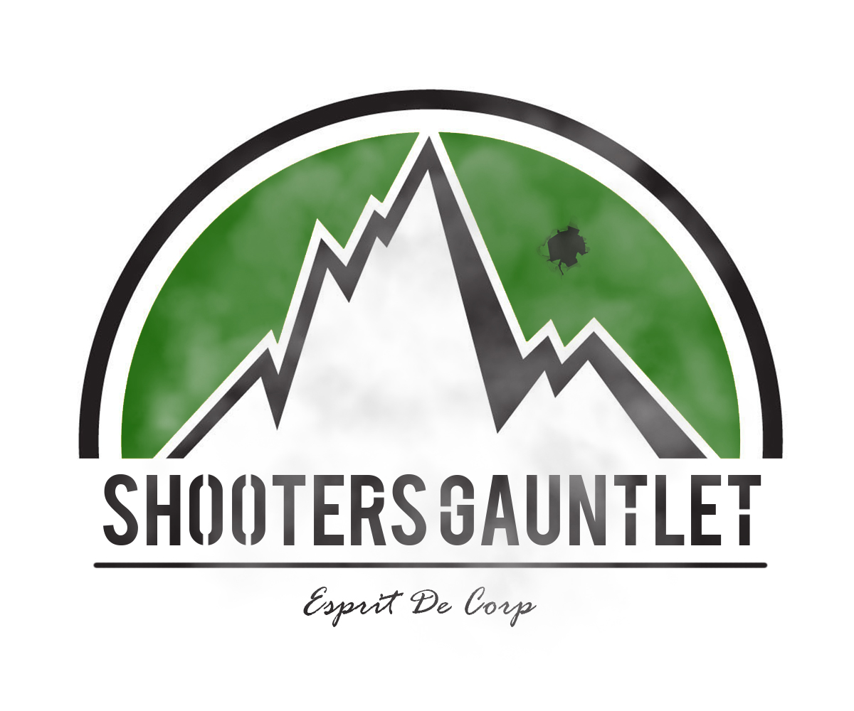 Logo Design by Daniel Pombeiro for this project | Design #2490348