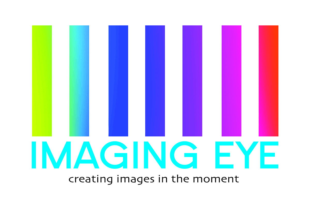 Logo Design by Graphic Device for this project | Design #2480182