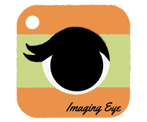 Logo Design by Dominique Barbieri