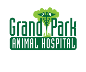 Logo Design by Hot Rod
