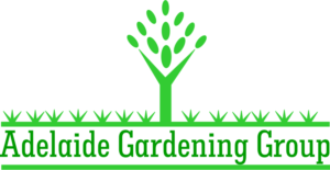 Logo Design by Sampath