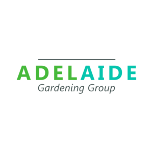 Logo Design by edita.812