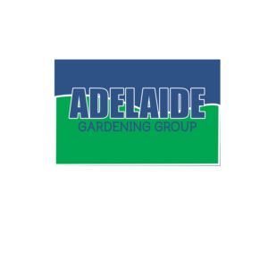 Logo Design by beaudesign