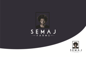 Design de Logo par T I K H E - L M W pour Diversified Ag LLC | Design : #14123044