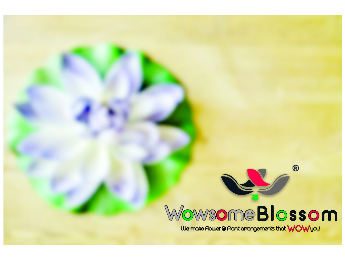 Logo Design by 9Four Creatives for green and black inc | Design #13723049