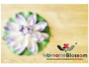 Logo Design by 9Four Creatives for green and black inc | Design: #13723049