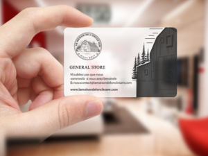 Business Card Design by Creations Box 2015 for SARL Systeme charles | Design: #13678226