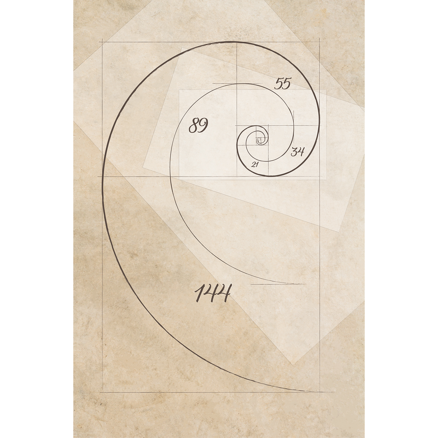 Illustration Design by David for Studio Tectonic | Design #13702227
