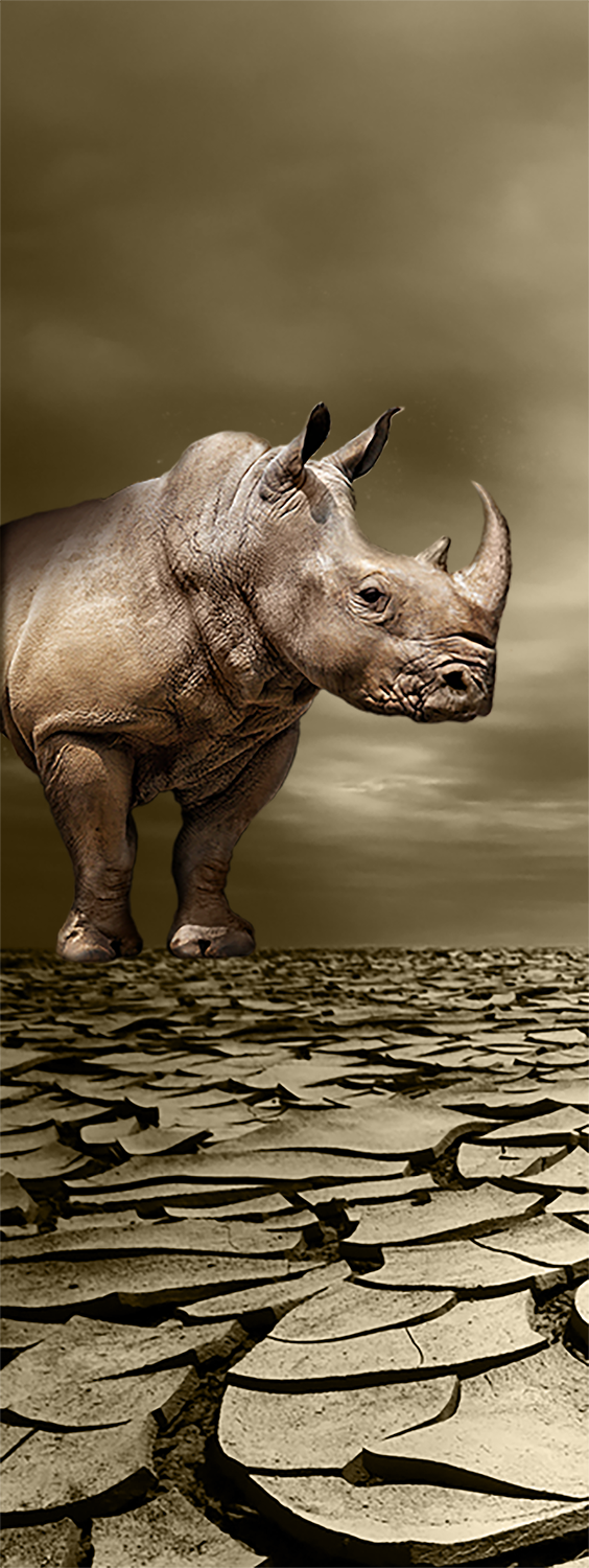 Diseño 3D por E.Dorranipour para este proyecto | Diseño #13728524