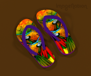 3D Design by ImageNation
