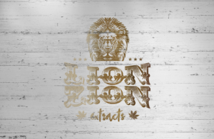 Logo Design by GLDesigns for Spyder Manufacturing | Design: #13692644