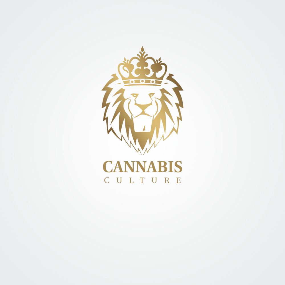 Diseño de Logo por pici_timici para Spyder Manufacturing | Diseño #13740239