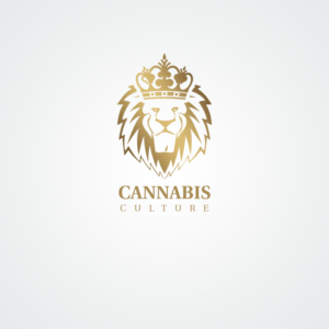 Diseño de Logo por pici_timici para Spyder Manufacturing | Diseño: #13740239