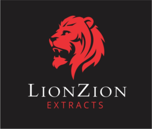 Logo Design by Rumy