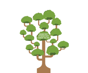 Graphic Design by Blumenfeld for this project | Design: #13713392