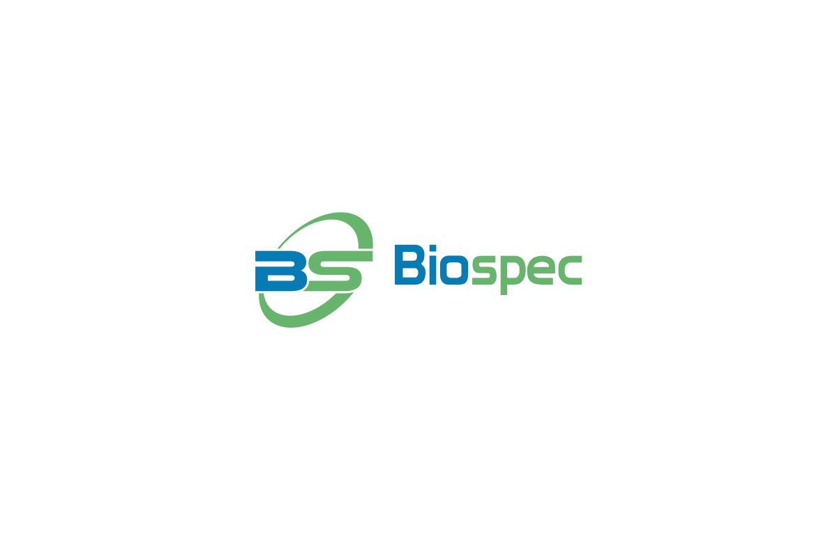 Logo Design by laceymosleyy for this project | Design #13799549