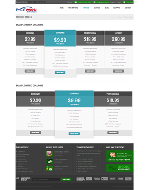 Web Design by Chaitanya S. for Pace Work Technologies Web Hosting Inc. | Design: #2499903