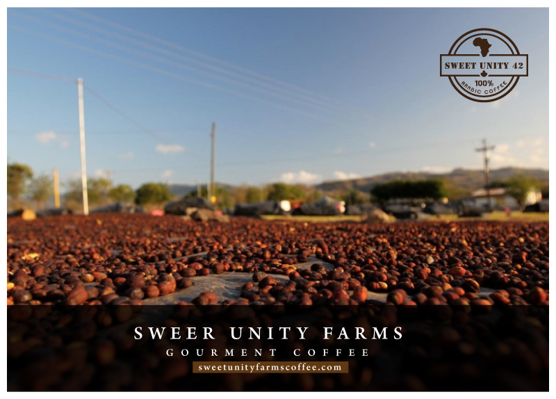 Logo Design by Runner247 for this project | Design #13769159