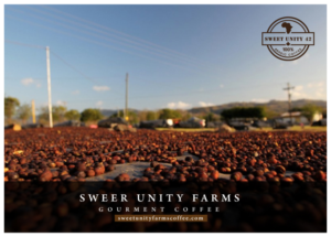 Logo Design by Runner247 for this project | Design: #13769159