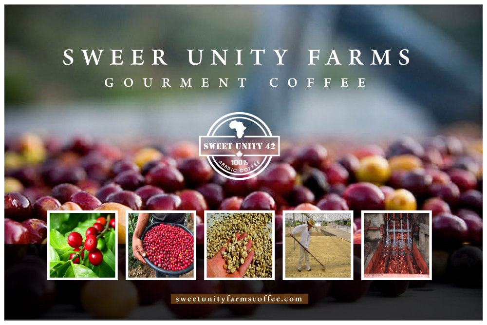 Logo Design by Runner247 for this project | Design #13769160