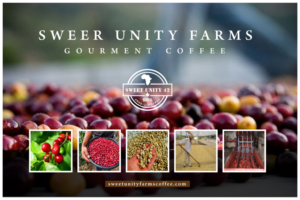 Logo Design by Runner247 for this project | Design: #13769160