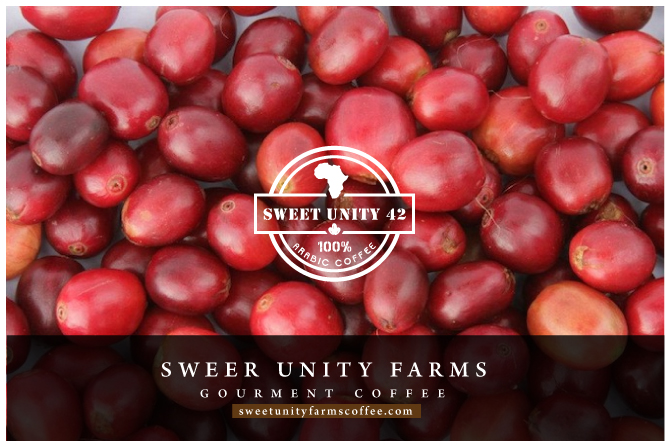 Logo Design by Runner247 for this project | Design #13769161