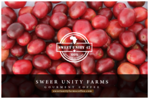 Logo Design by Runner247 for this project | Design: #13769161