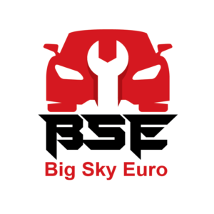 Logo Design by Billius Mensah for Big Sky Euro | Design: #14676015