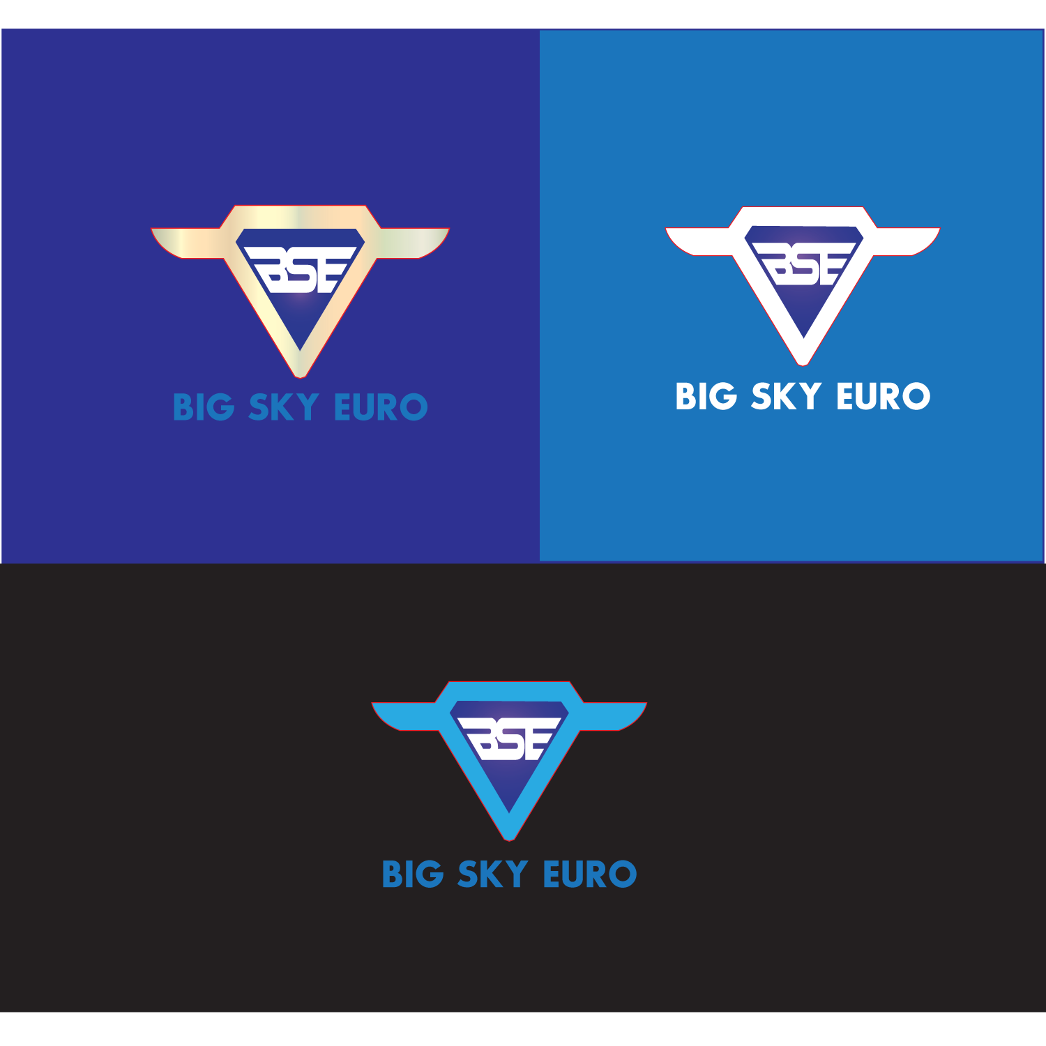 Logo-Design von HR KHAN für Big Sky Euro | Design #14749950