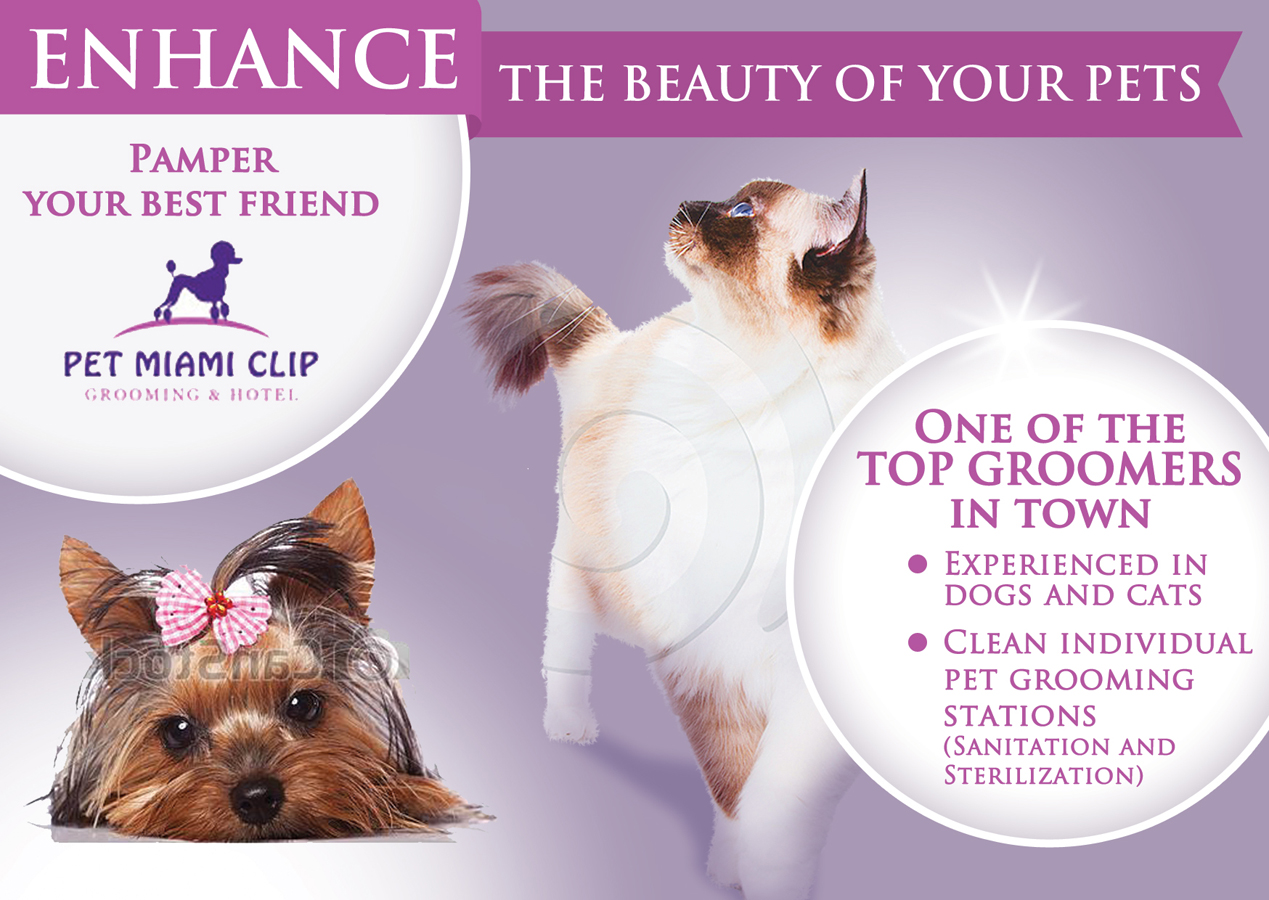 Advertisement Design by nemorosa for this project | Design #2493404