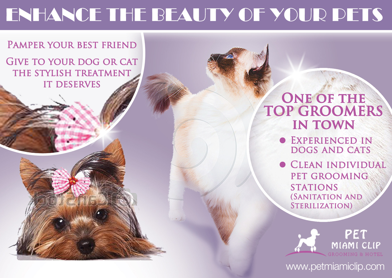 Advertisement Design by nemorosa for this project | Design #2493405