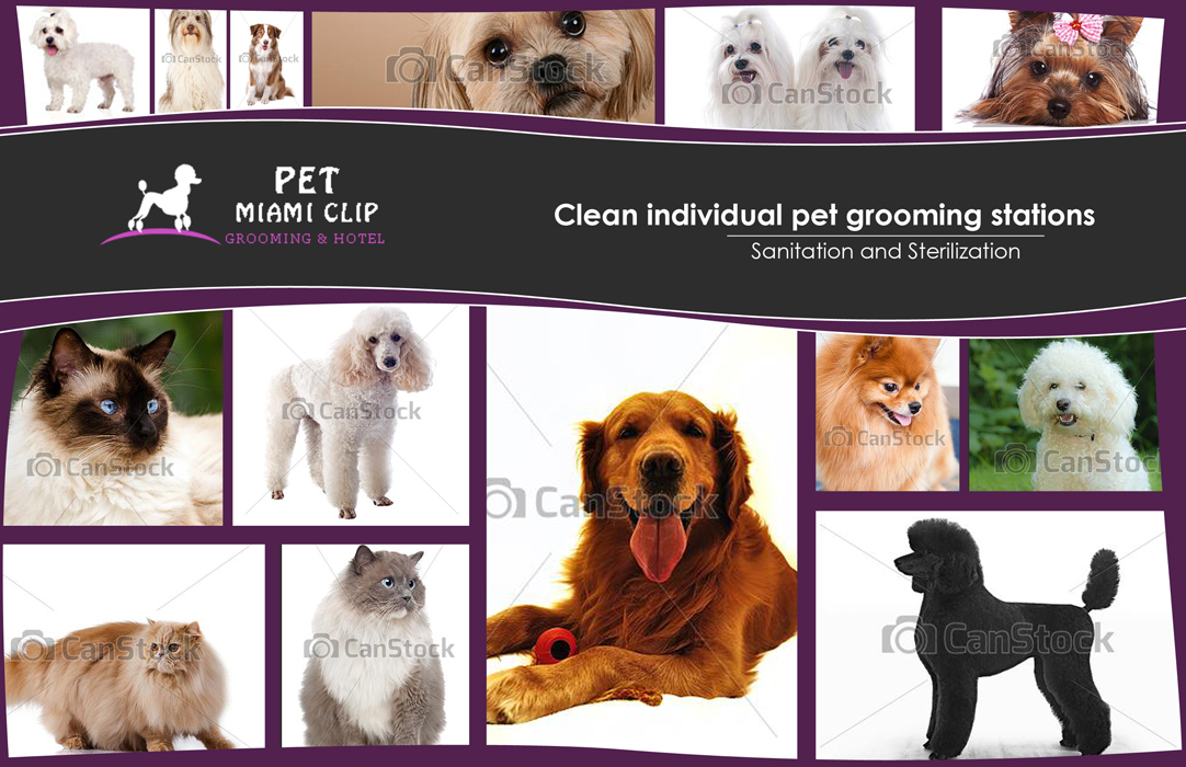 Advertisement Design by ketoprofen for this project | Design #2489701