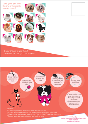 Exclusive Pet groomer Post Card  