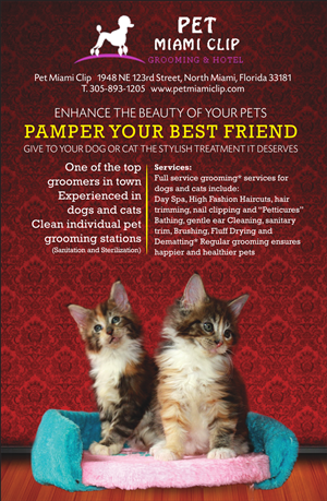 Advertisement Design by reFreshid