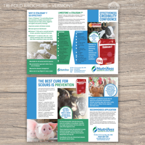 Diseño de Brochure por Katyas Art and Design para este proyecto | Diseño: #13779185